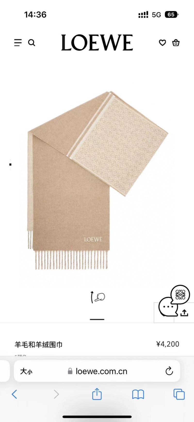 Loewe Scarf